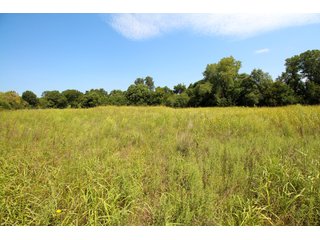 Property photo 18 - SIGNIFICANT LAND & PRODUCING MINERALS SEALED BID AUCTION - 233+/- ACRE FARM IN 1 TRACT - 6 MINERAL TRACTS IN GARVIN, MCCLAIN, GRADY & ROGER MILLS COUNTIES, OKLAHOMA